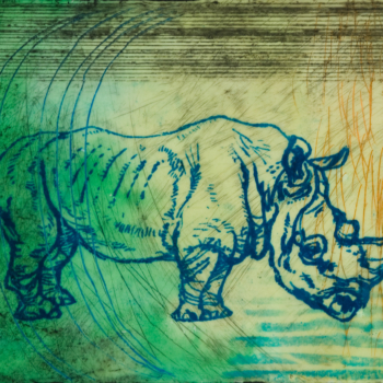 Rhino, 8" x 10" mixed media encaustic
